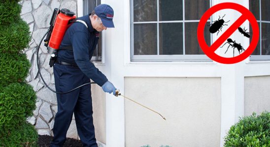 Doğankent Pire İlaçlama böcek ilaçlama ve haşere kontrolü — ilaclama-tr.com